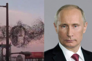 Небесният портрет на путин е изобразен от new york birds